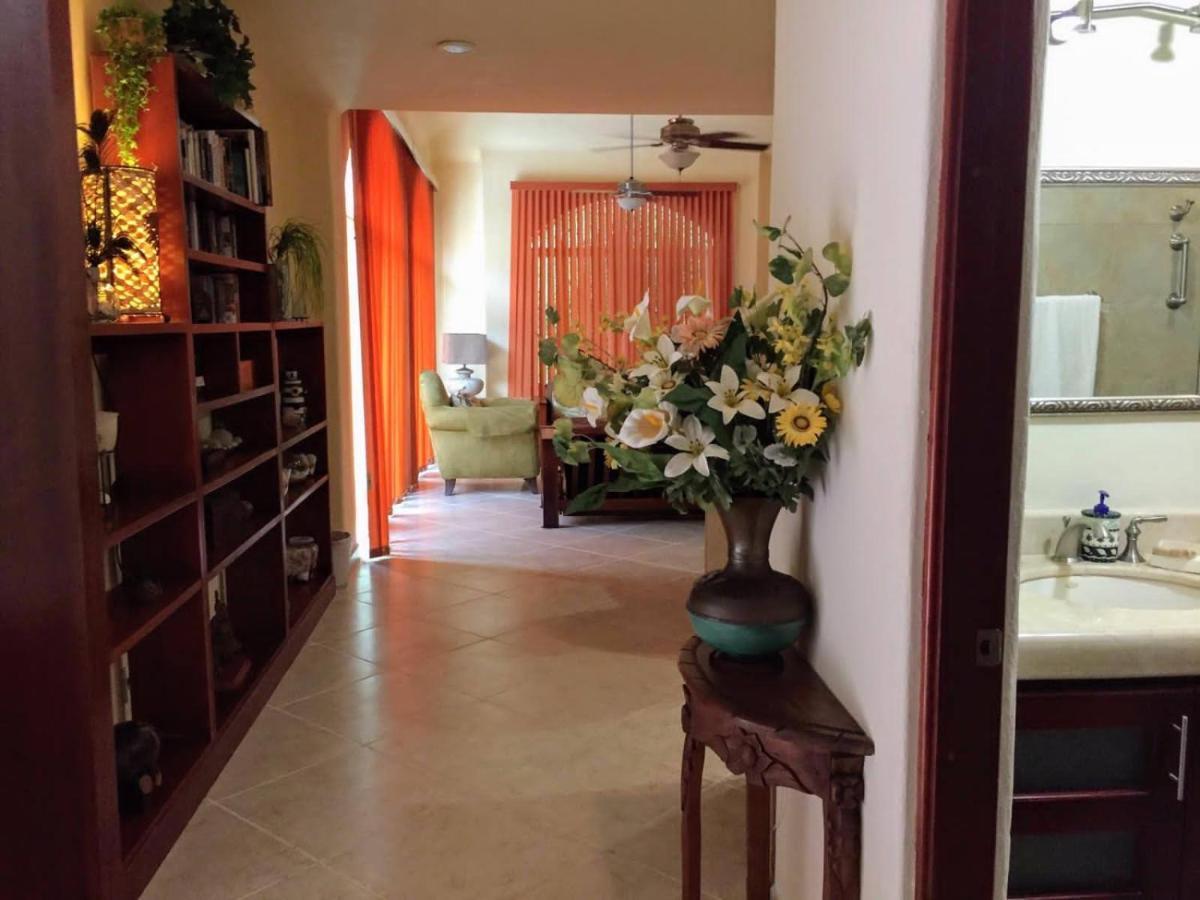 Casa Beard, Spacious Guest House With High Speed Wifi & Pool. Playa del Carmen Eksteriør bilde
