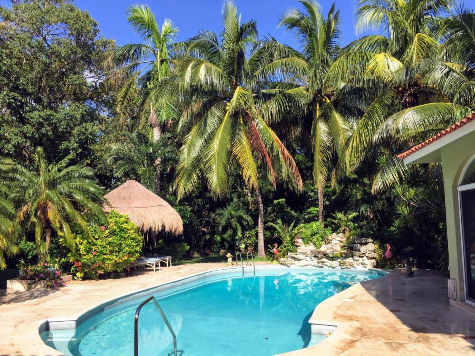 Casa Beard, Spacious Guest House With High Speed Wifi & Pool. Playa del Carmen Eksteriør bilde
